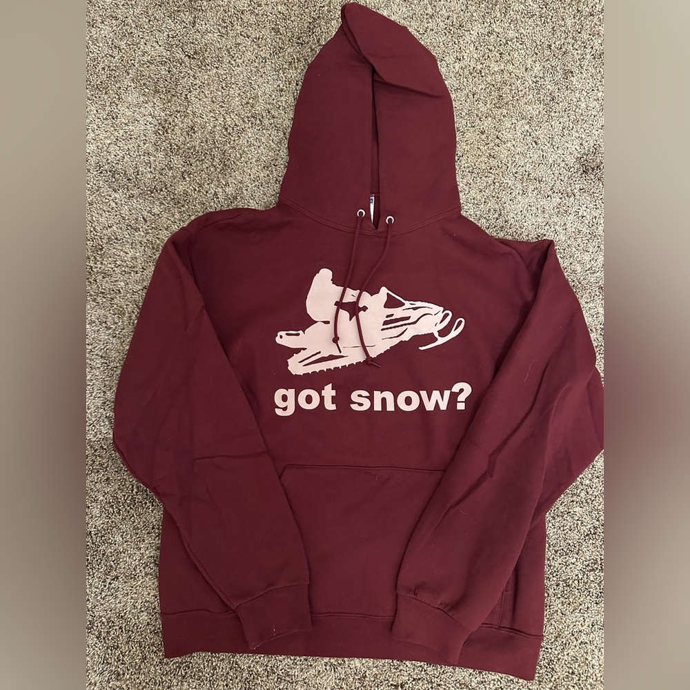 Snowmobiling Got Snow Hoodie